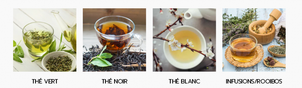 Thé blanc, le joyau des thés