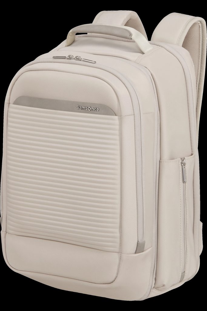 Sac intellectuel samsonite