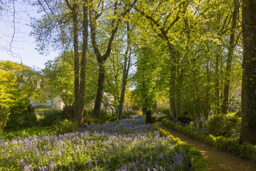 Forêt Enchantée