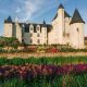 Illustration Château du Rivau